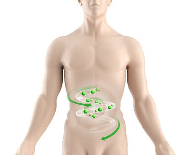 Fermentierte Lebensmittel