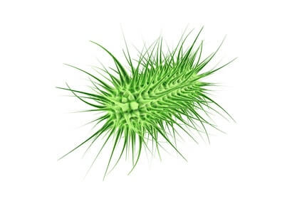 Lebensmittelzusatzstoffe