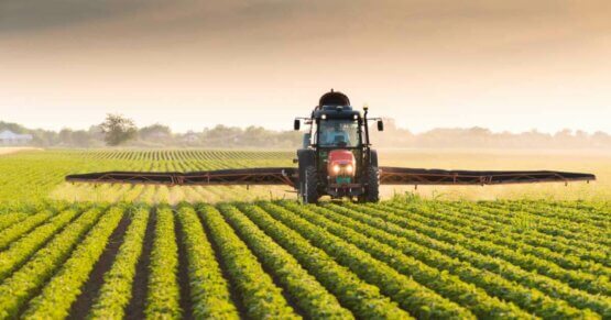 Endokrine Disruptoren