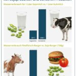 Abbildung - Gegenüberstellung des Wasserverbrauchs von Sojaprodukten und tierischen Produkten