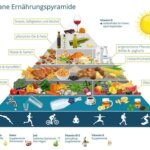 ecodemy Vegane Ernährungspyramide