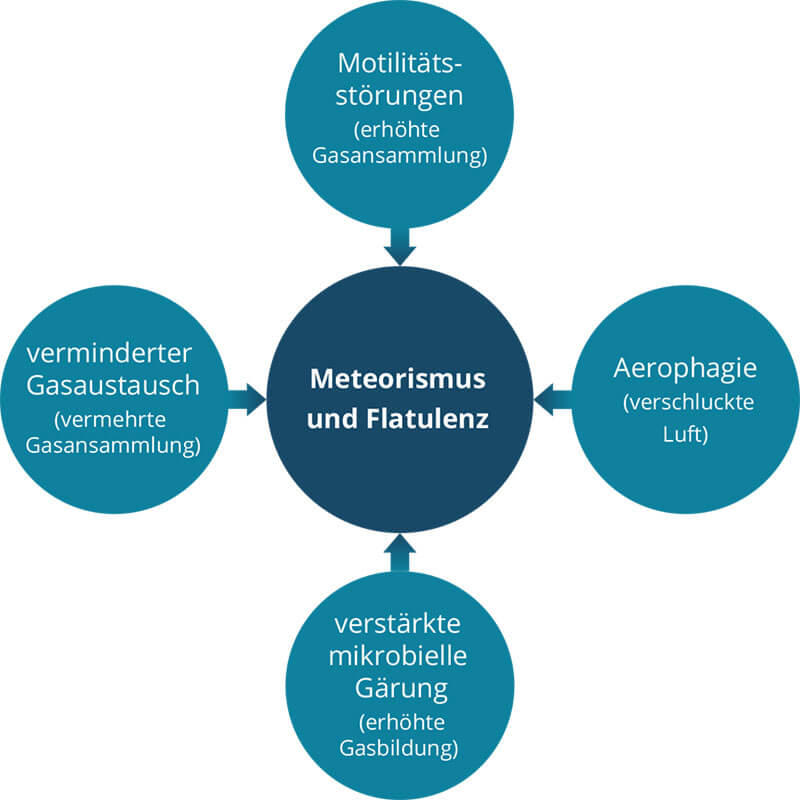 Mögliche Ursachen für Meteorismus