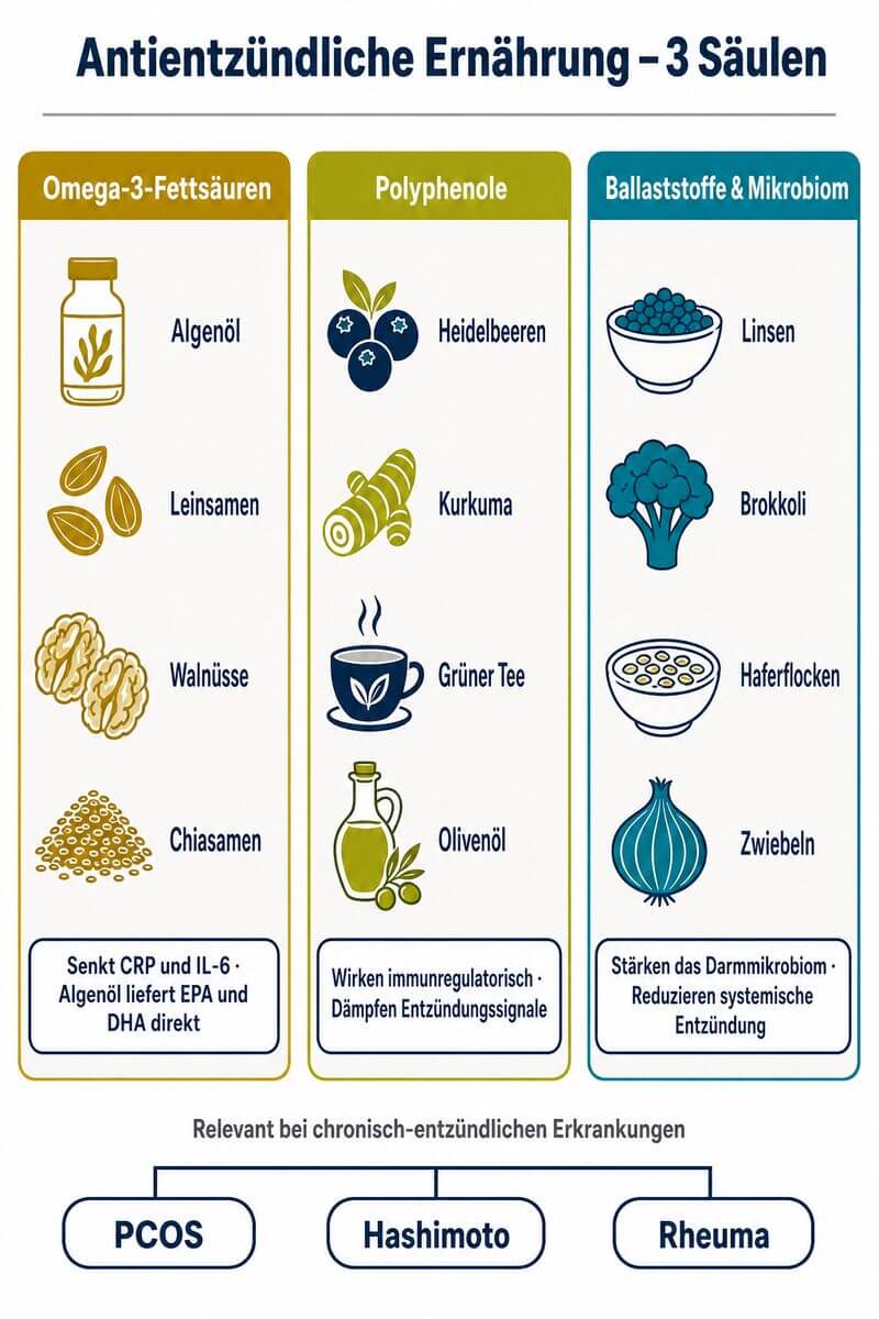 Infografik: Antientzündliche Ernährung – Omega-3-Fettsäuren, Polyphenole und Ballaststoffe mit veganen Quellen und Wirkmechanismen bei PCOS, Hashimoto und Rheuma.