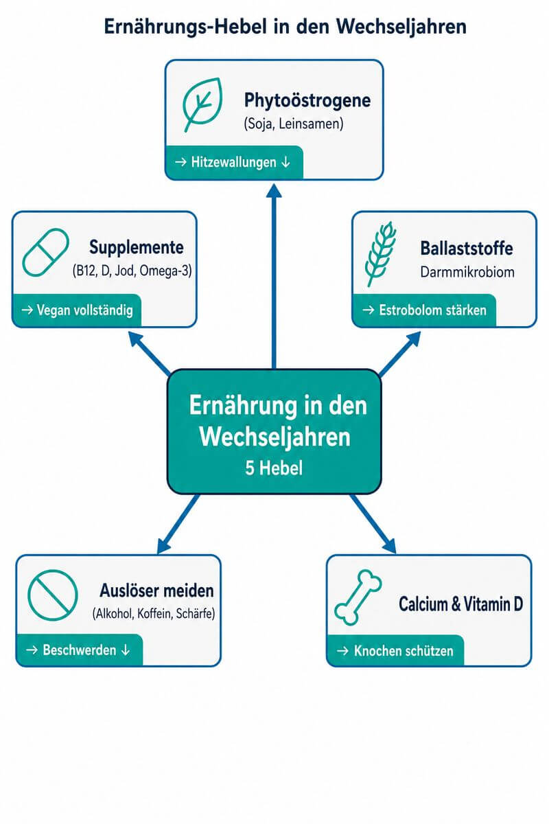 Infografik: Fünf Ernährungsstrategien in den Wechseljahren – von Phytoöstrogenen bis Supplementierung.