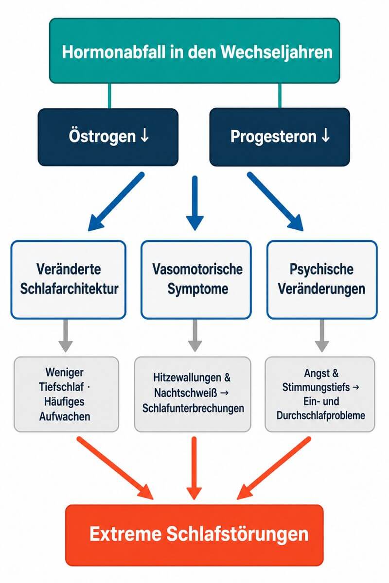 Infografik: Ursachen extremer Schlafstörungen in den Wechseljahren – Hormonschwankungen, Hitzewallungen und psychische Faktoren im Überblick.