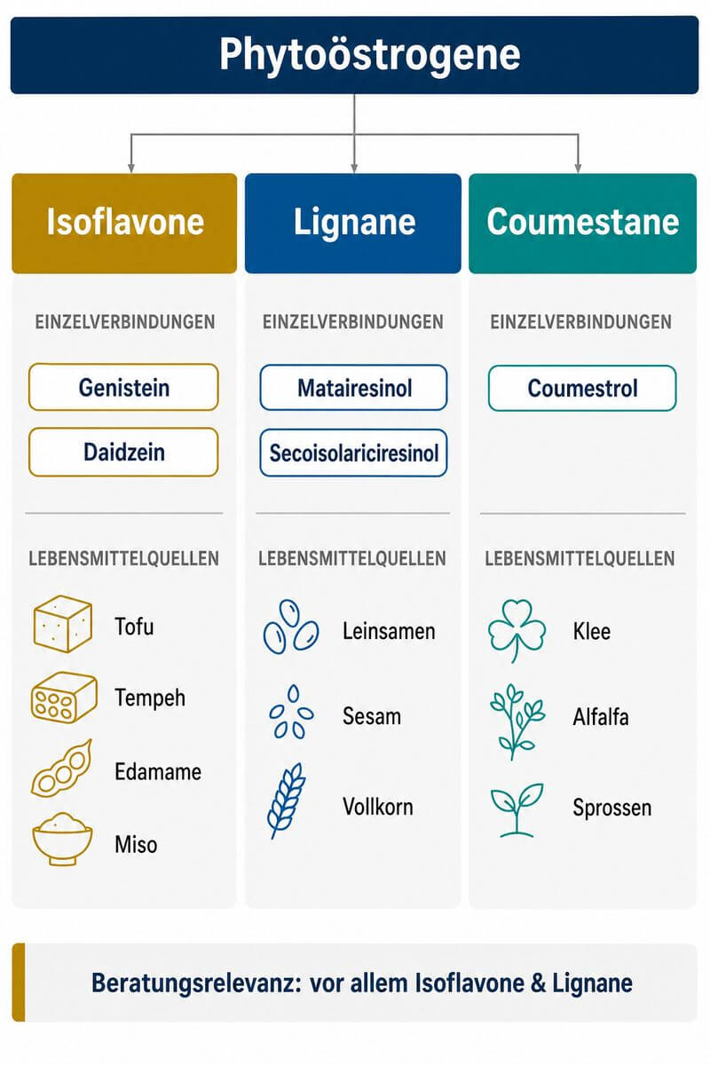 Phytostrogene: Wirkung, Quellen & Hormongesundheit (2026)