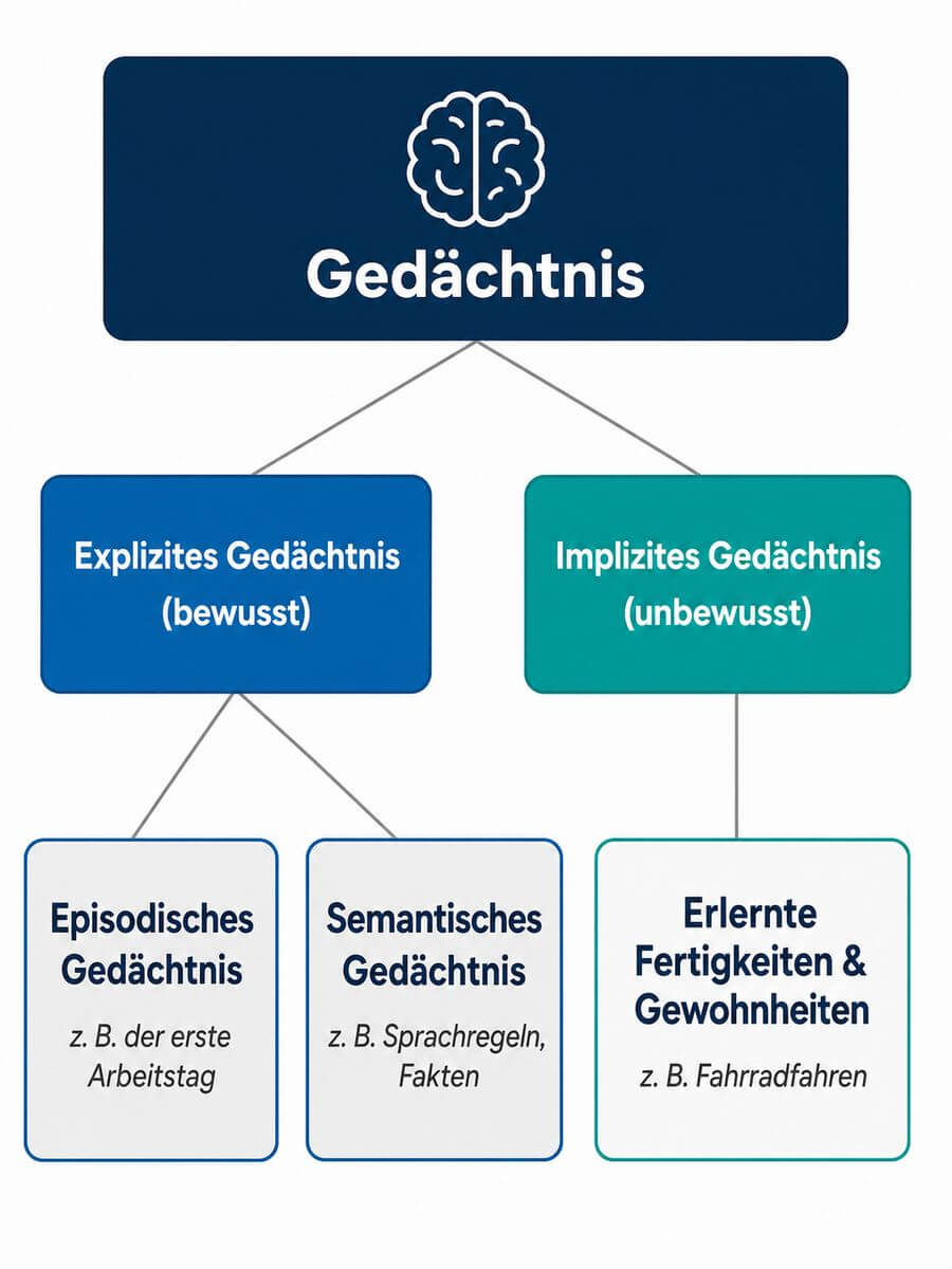 Infografik: Gedächtnissysteme – explizites und implizites Gedächtnis im Vergleich mit Unterformen episodisch und semantisch.