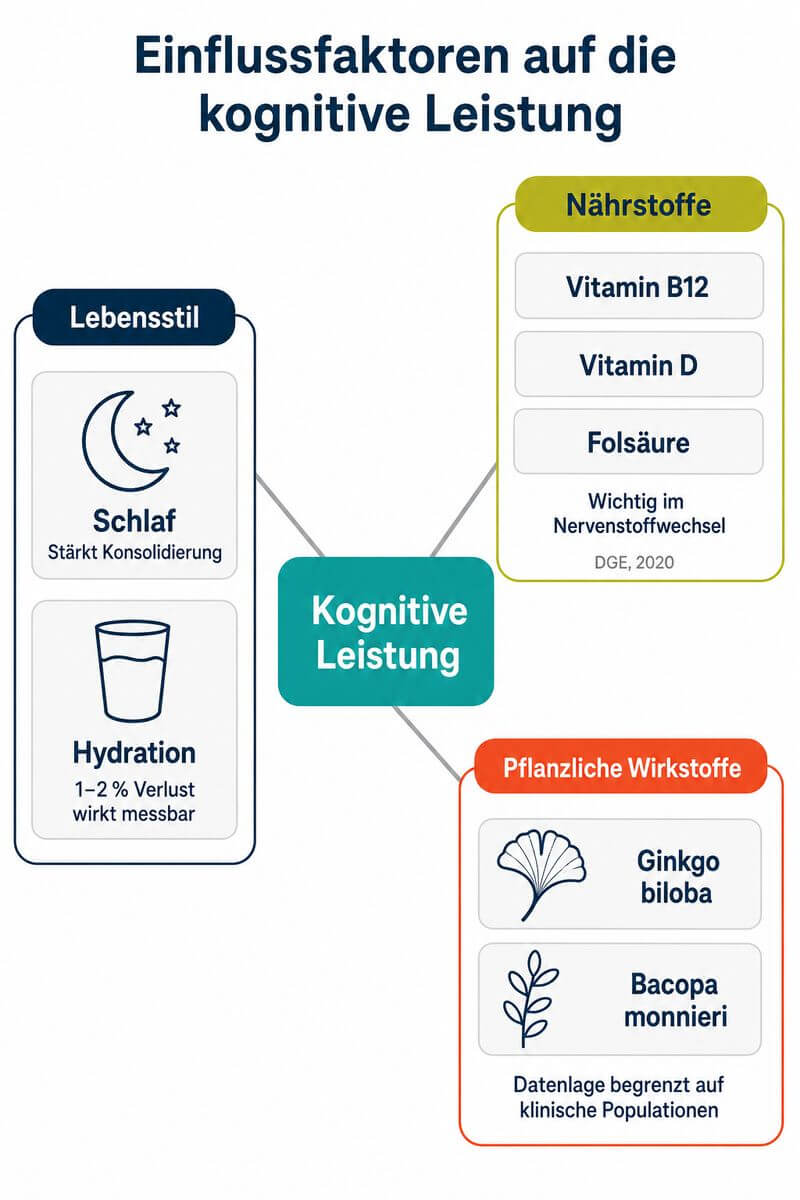 Infografik: Einflussfaktoren auf Gedächtnis und kognitive Leistung – Schlaf, Hydration, Nährstoffe und pflanzliche Wirkstoffe im Überblick.