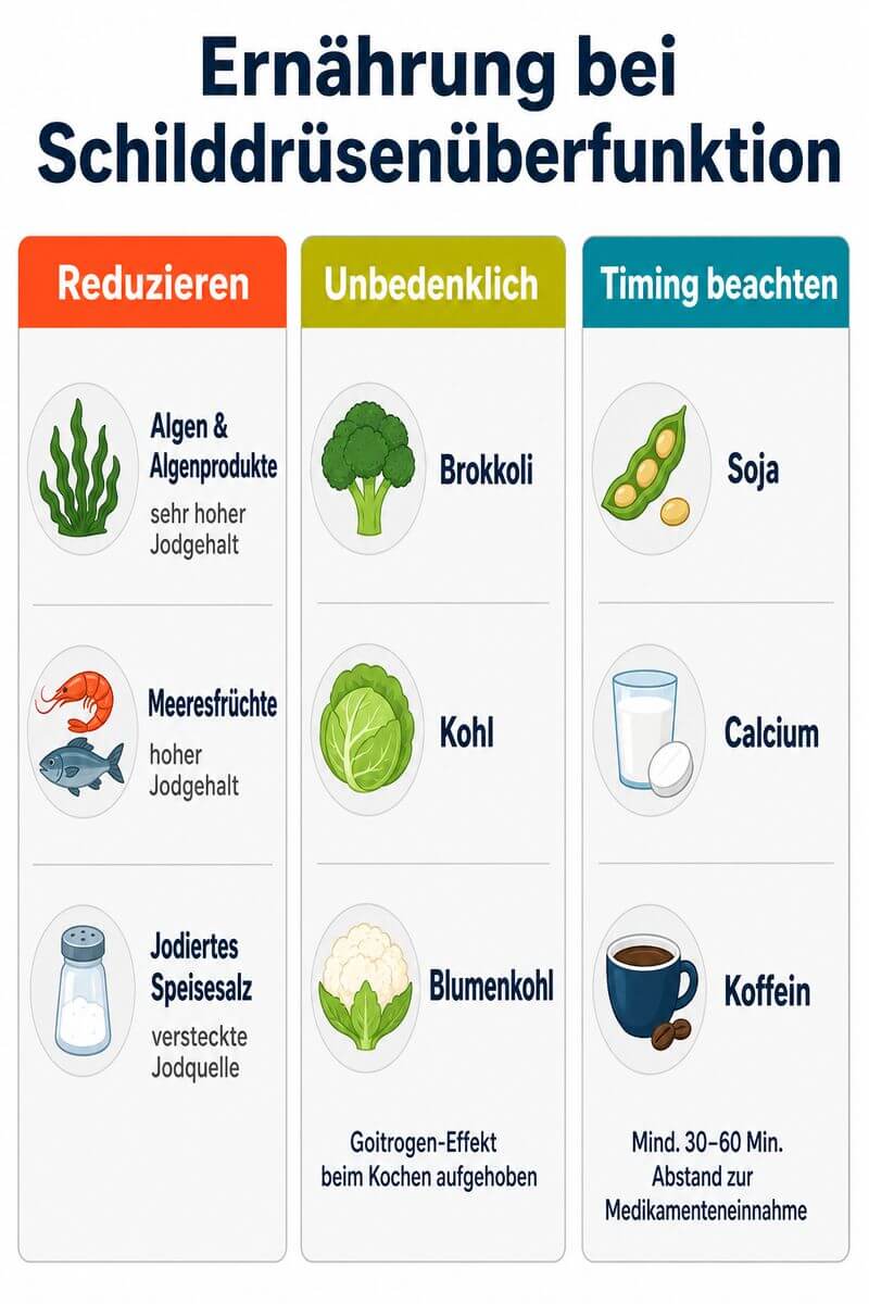 Infografik: Schilddrüsenüberfunktion Ernährung – Lebensmittel meiden, erlaubt und Medikamenten-Timing im Überblick