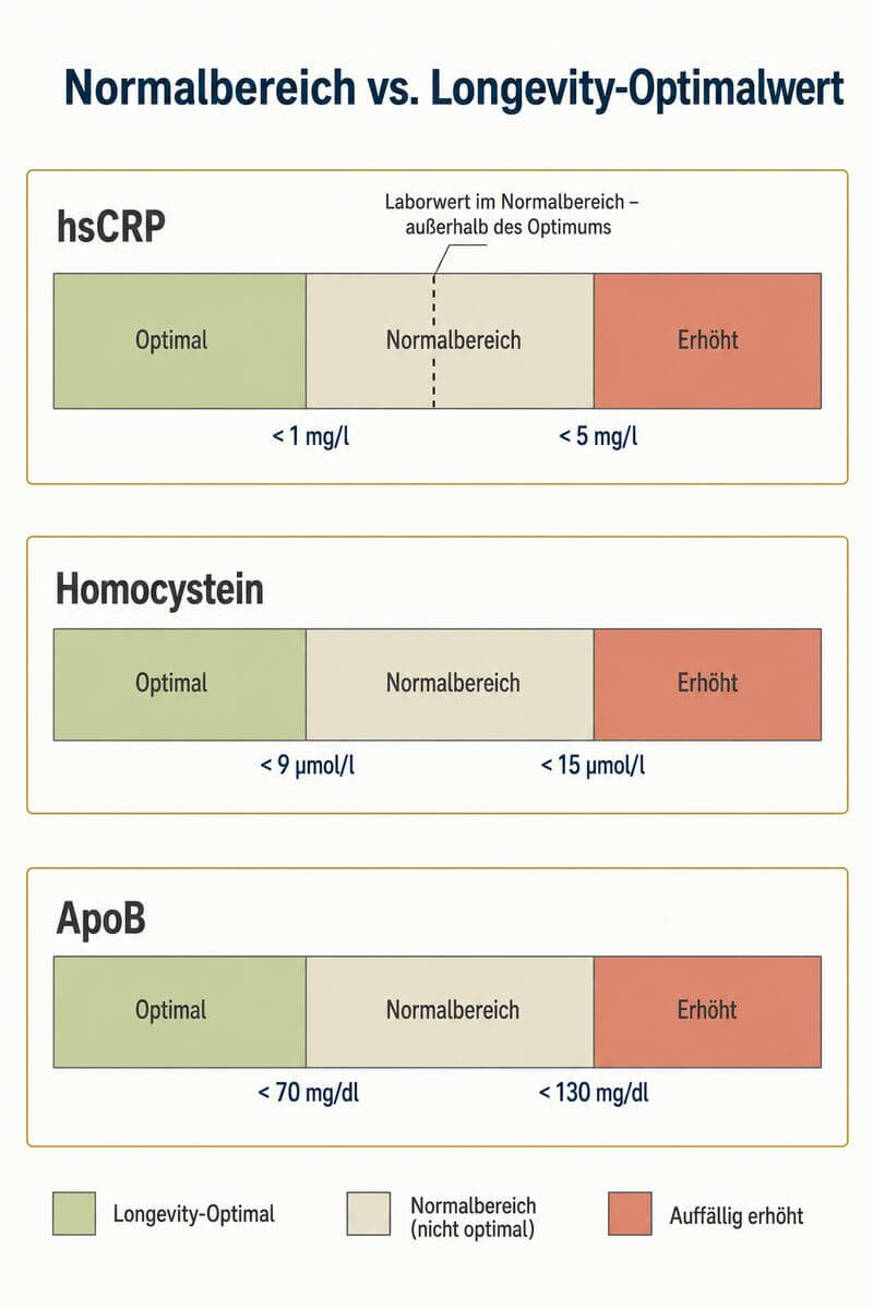 Infografik: Vergleich klinischer Referenzbereich und Longevity-Optimalwert für ApoB, hsCRP und Homocystein im Überblick.