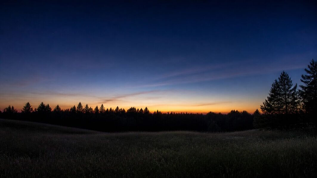 Morgendämmerung im Wald mit erstem Licht zwischen Bäumen — symbolisiert Tiefschlaf verbessern und zelluläre Regeneration.