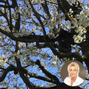 Profilbild von Petra Philipp